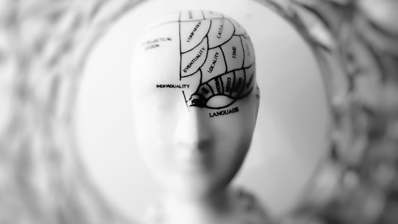 Drugs and the Brain
