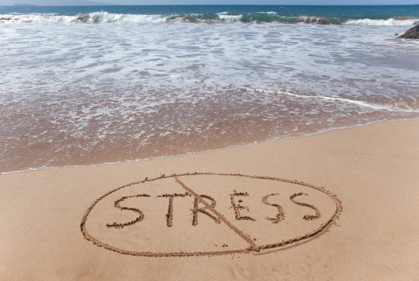 Stress Rehabilitation Centers can Calm You Down Today