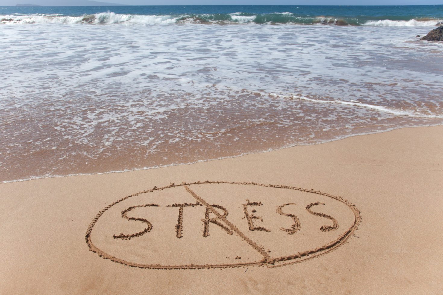 Stress Rehabilitation Centers can Calm You Down Today