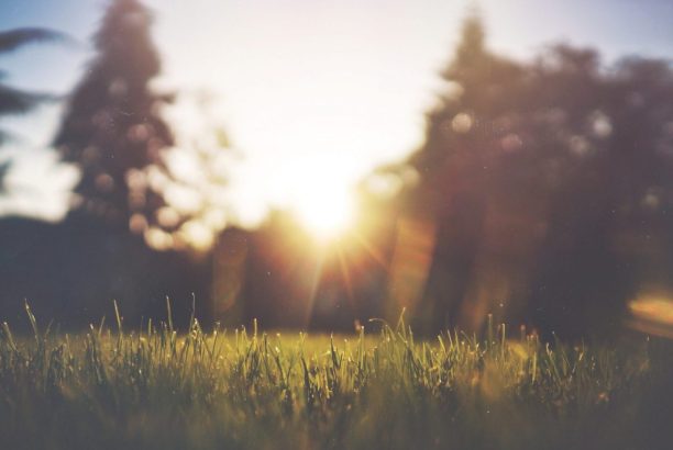 Ketamine Treatments For Social Anxiety Disorder