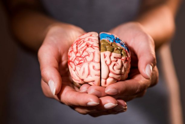 5 Things you Should Learn About Dual Diagnosis Treatment