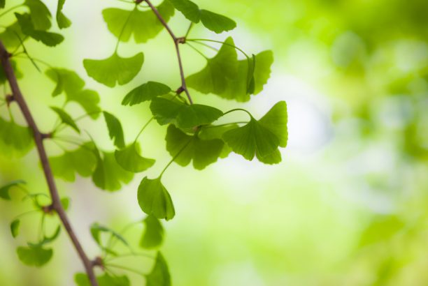 How to Find Holistic South Florida Mental Health Treatment