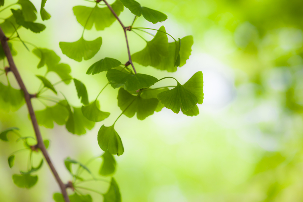 How to Find Holistic South Florida Mental Health Treatment